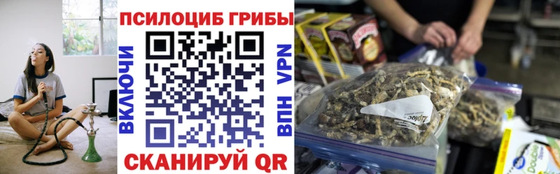 закладка  ОМГ ОМГ ТОР  Галлюциногенные грибы прущие грибы  Партизанск 