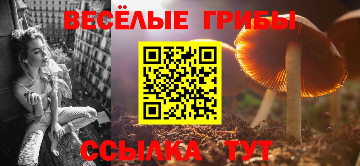 Галлюциногенные грибы Psilocybe  Вход с VPN  Псилоцибиновые грибы Magic Shrooms  Партизанск 