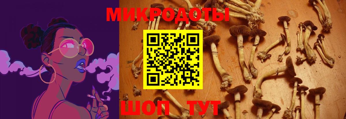 Галлюциногенные грибы Cubensis Партизанск